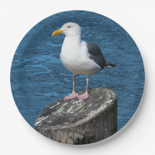 SEEMÖWE PAPPTELLER