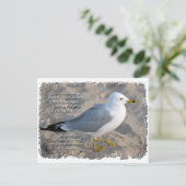 Seemöwe-Postkarte Postkarte (Stehend Vorderseite)