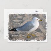 Seemöwe-Postkarte Postkarte (Vorne/Hinten)