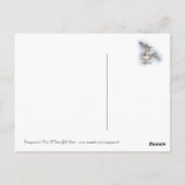 Seemöwe-Postkarte Postkarte (Rückseite)