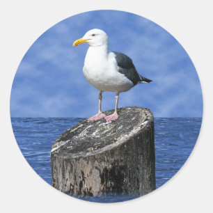 SEEMÖWE RUNDER AUFKLEBER
