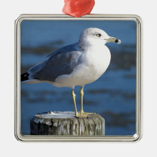 Seemöwe Silbernes Ornament
