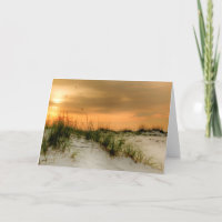 Seemöwen am Sonnenaufgang