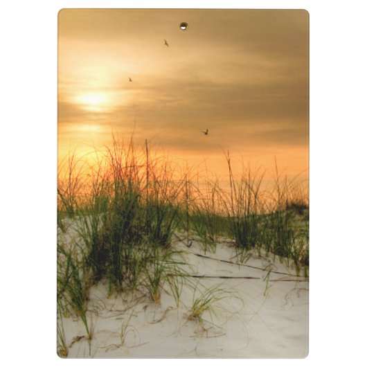 Seemöwen am Sonnenaufgang Klemmbrett (Rückseite)