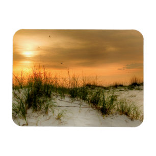 Seemöwen am Sonnenaufgang Magnet