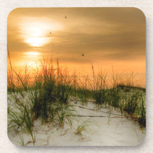 Seemöwen am Sonnenaufgang Untersetzer