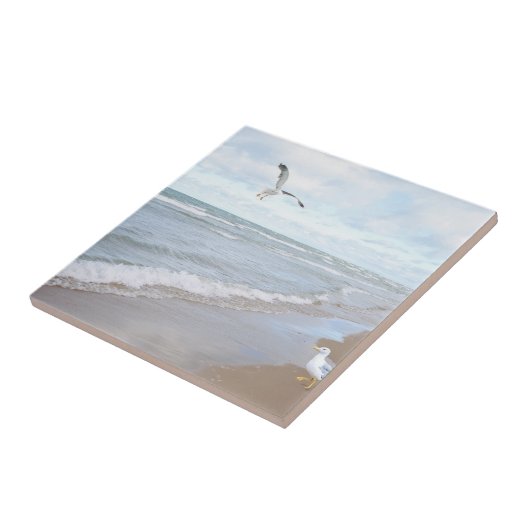 Seemöwen am Strand Fliese (Seite)