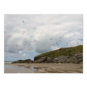 Seemöwen an Porth Strand Newquay Cornwall Fotodruck