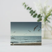 Seemöwen Brighton Postkarte (Stehend Vorderseite)