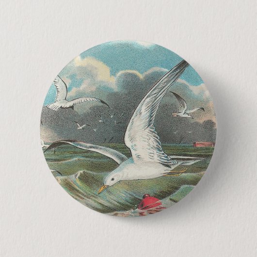 Seemöwen Button (Vorderseite)