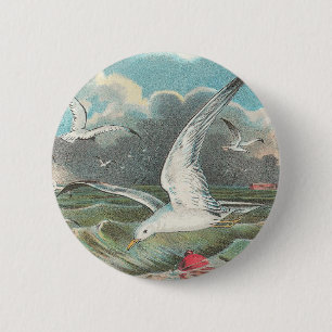 Seemöwen Button