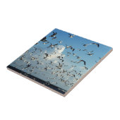 Seemöwen, die über Strand fliegen Fliese (Seite)