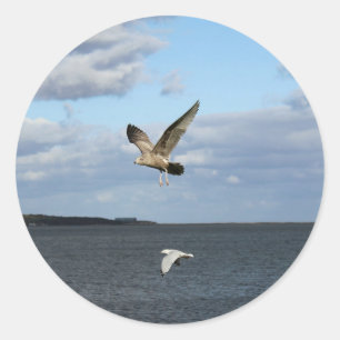 Seemöwen im Flug Runder Aufkleber