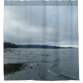 Seemöwen über Puget Sound-Strand Duschvorhang (Vorderseite)