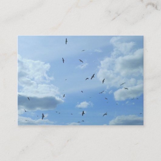 Seemöwen Visitenkarte (Vorderseite)