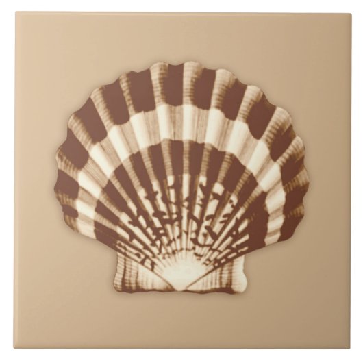 SeeMuschel - Braun und Beige Fliese (Vorderseite)