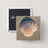 SeeMuschel, die auf Sandy-Strand legt Button (Vorne & Hinten)