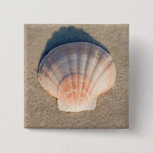 SeeMuschel, die auf Sandy-Strand legt Button (Vorderseite)