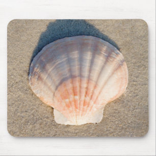 SeeMuschel, die auf Sandy-Strand legt Mousepad