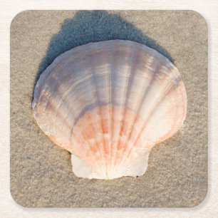 SeeMuschel, die auf Sandy-Strand legt Rechteckiger Pappuntersetzer