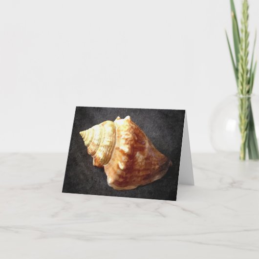 SeeMuschel-leere Karte (Vorderseite)