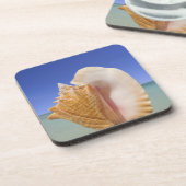 SeeMuschel-nahes hohes Untersetzer (Linke Seite)