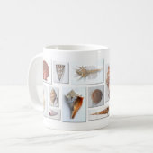 SeeMuschel-Tasse Kaffeetasse (Vorderseite Links)