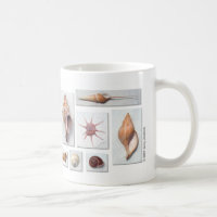 SeeMuschel-Tasse