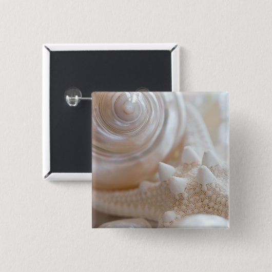 SeeMuschel-u. -Starfish-Hintergrund - Button (Vorne & Hinten)