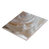 SeeMuschel-u. -Starfish-Hintergrund - Fliese (Seite)