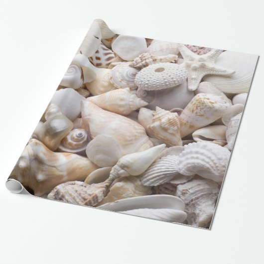 SeeMuschel-u. -Starfish-Hintergrund - Geschenkpapier (Ungerollt)