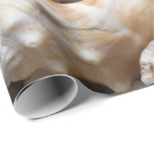 SeeMuschel-u. -Starfish-Hintergrund - Geschenkpapier (Rolleneckpunkt)