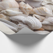 SeeMuschel-u. -Starfish-Hintergrund - Geschenkpapier (Ecke)