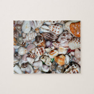 SeeMuschelpuzzlespiel Puzzle