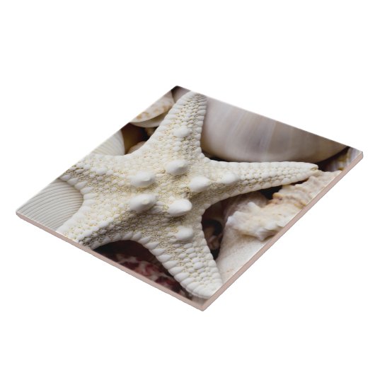 SeeMuschelstarfish-Hintergrund - Strand-Muscheln Fliese (Seite)
