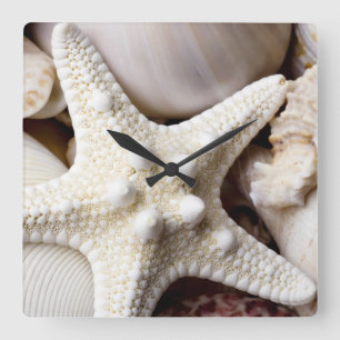 SeeMuschelstarfish-Hintergrund - Strand-Muscheln Quadratische Wanduhr