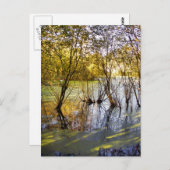 SEEN POSTKARTE (Vorne/Hinten)