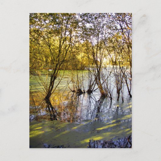 SEEN POSTKARTE (Vorderseite)