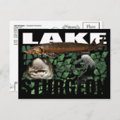 Seen-Sturgeon-Collage-Postcard Postkarte (Vorne/Hinten)