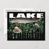 Seen-Sturgeon-Collage-Postcard Postkarte (Vorne/Hinten)