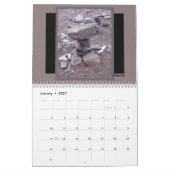 Seen Superior Wasserfall Kalender (Jan 2027)
