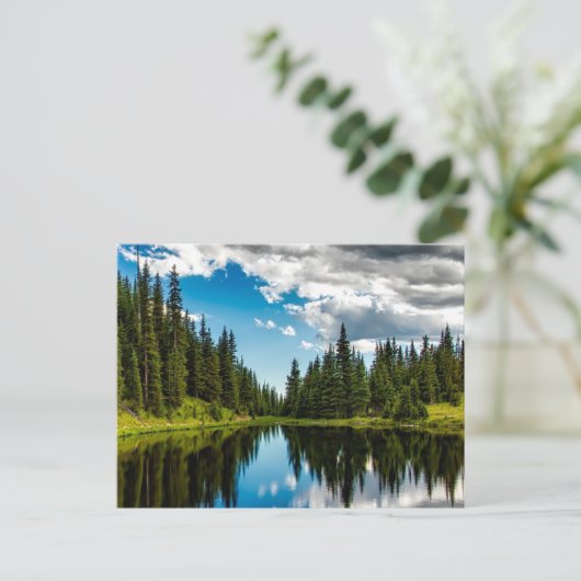 Seen und Evergreen Tree Lined Postcard Postkarte (Stehend Vorderseite)