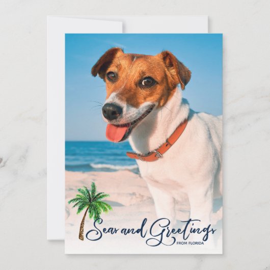 Seen und Grüße Küste Weihnachten 3-Foto-Karte (Vorderseite)