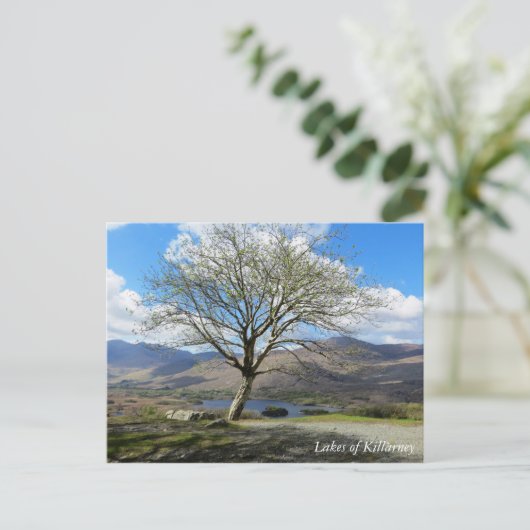 Seen von Killarney Postkarte (Stehend Vorderseite)
