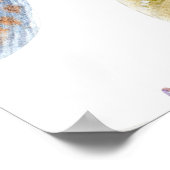 Seenahtloser Teil von Muscheln. Wasserfarbe Poster (Ecke)