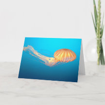 Seenessel in blauem Wasser schwimmend Danke Karte