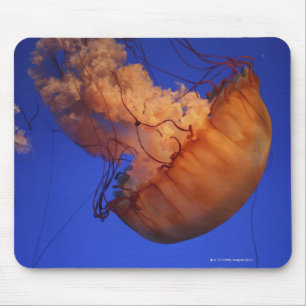 Seenesselquallen Mousepad