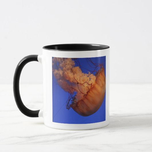 Seenesselquallen Tasse (Links)