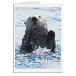 Seeotter