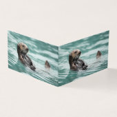 Seeotter (Vorderseite)